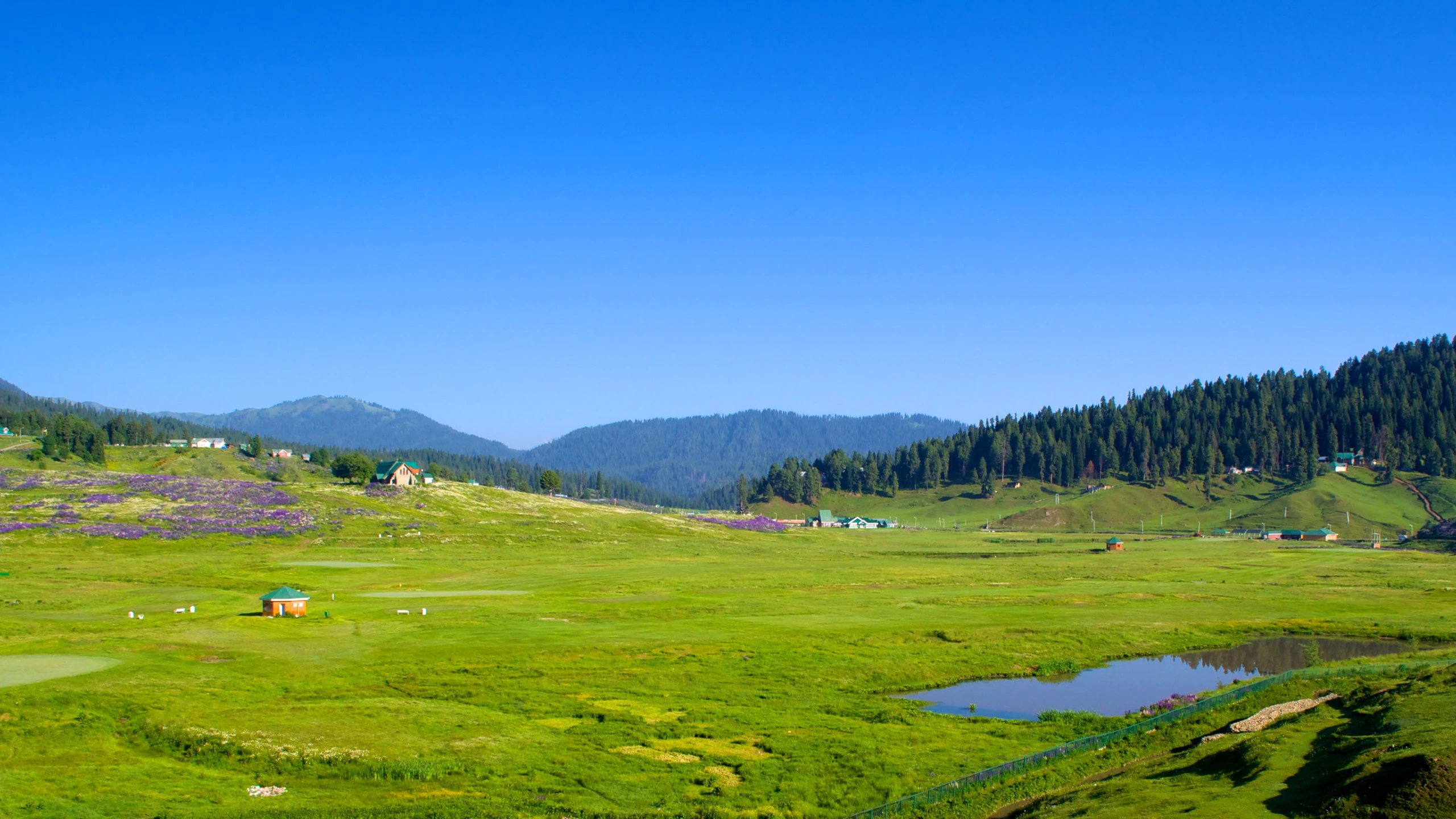 84869 Gulmarg