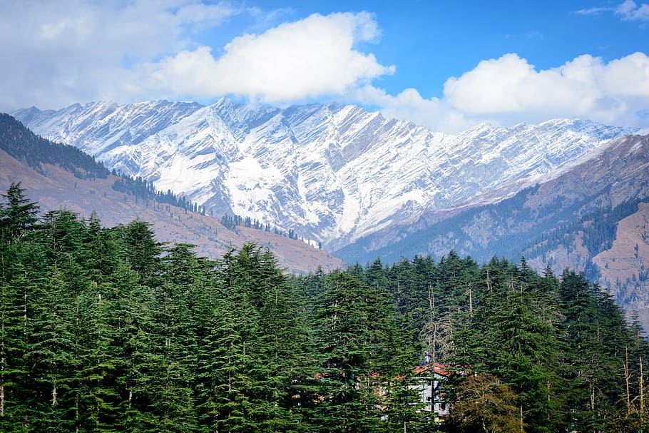 Manali Himalayas Quiet Backdrop