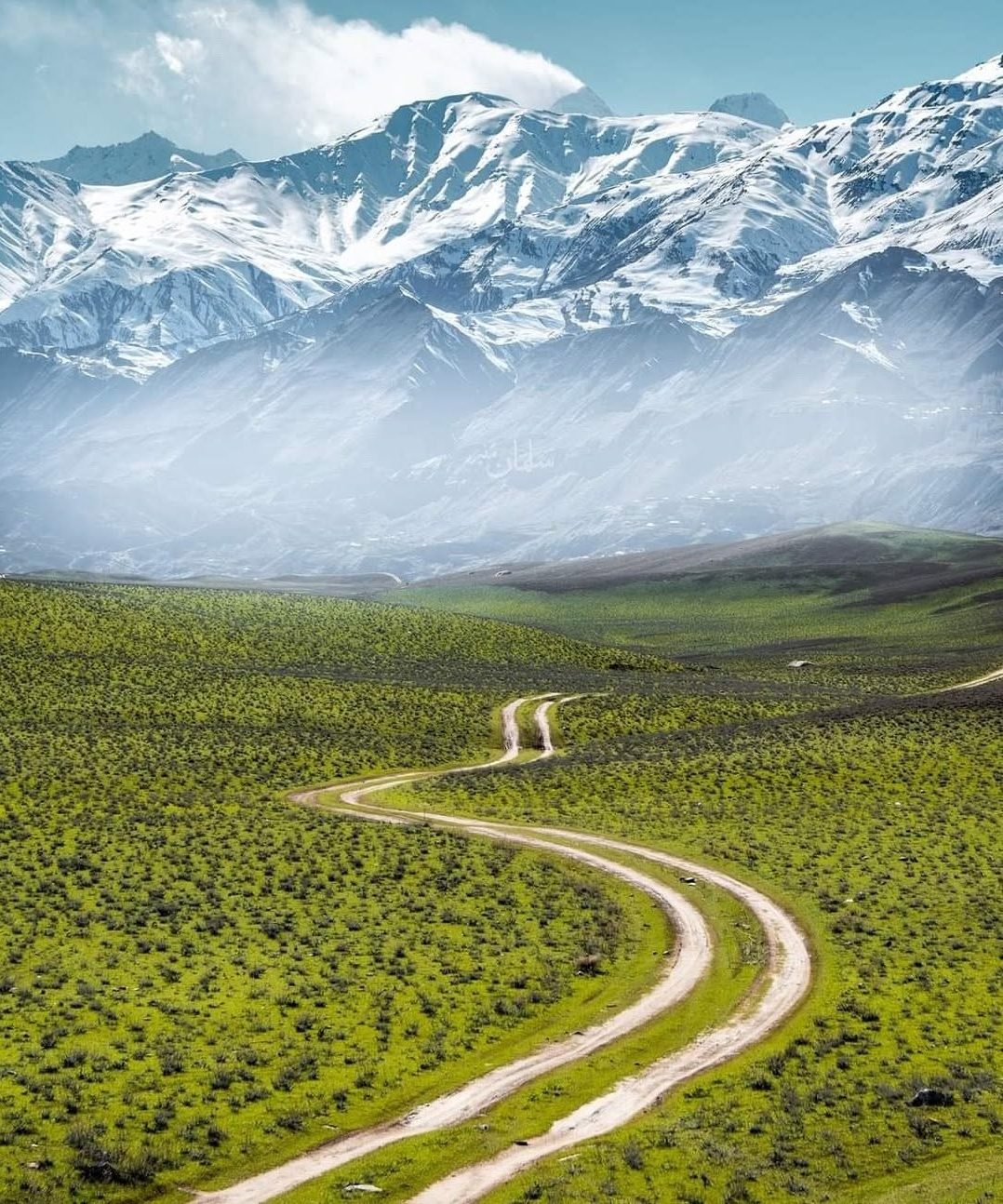 Qaqlasht Meadow