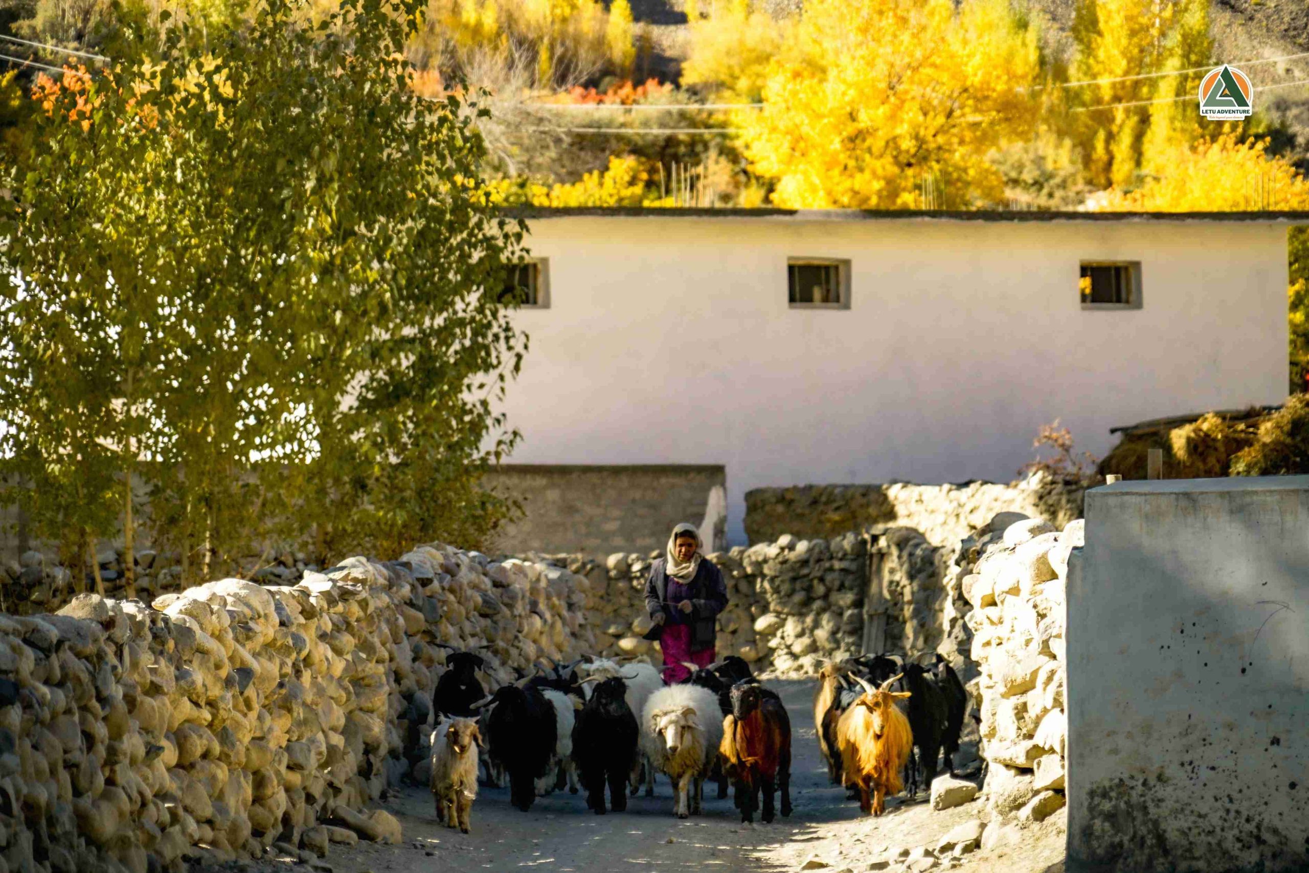 Shimshal Village
