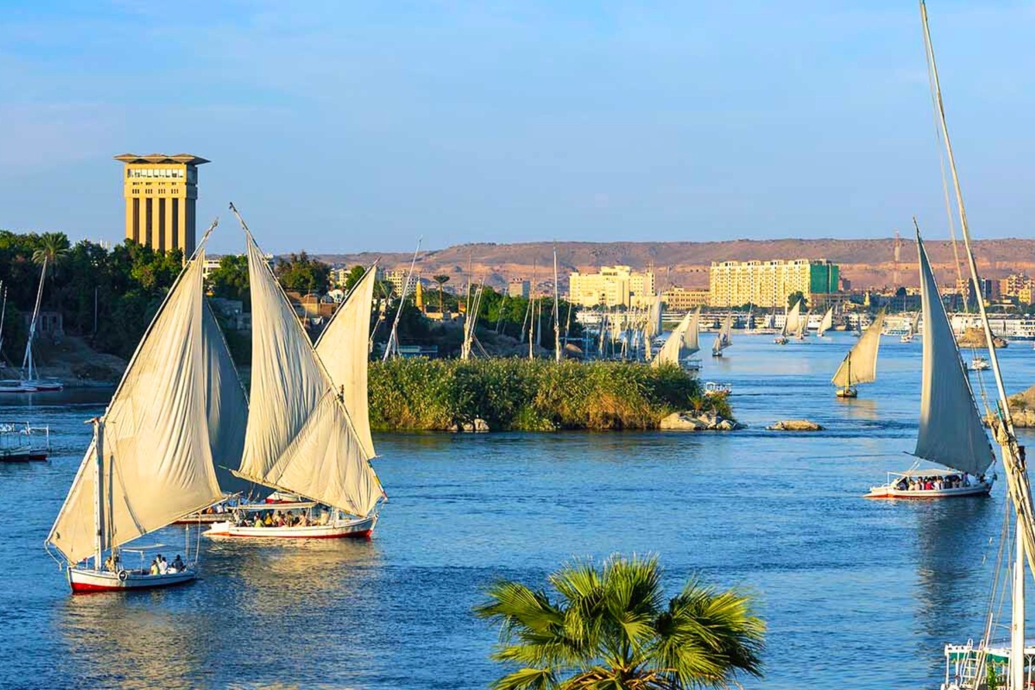 felucca