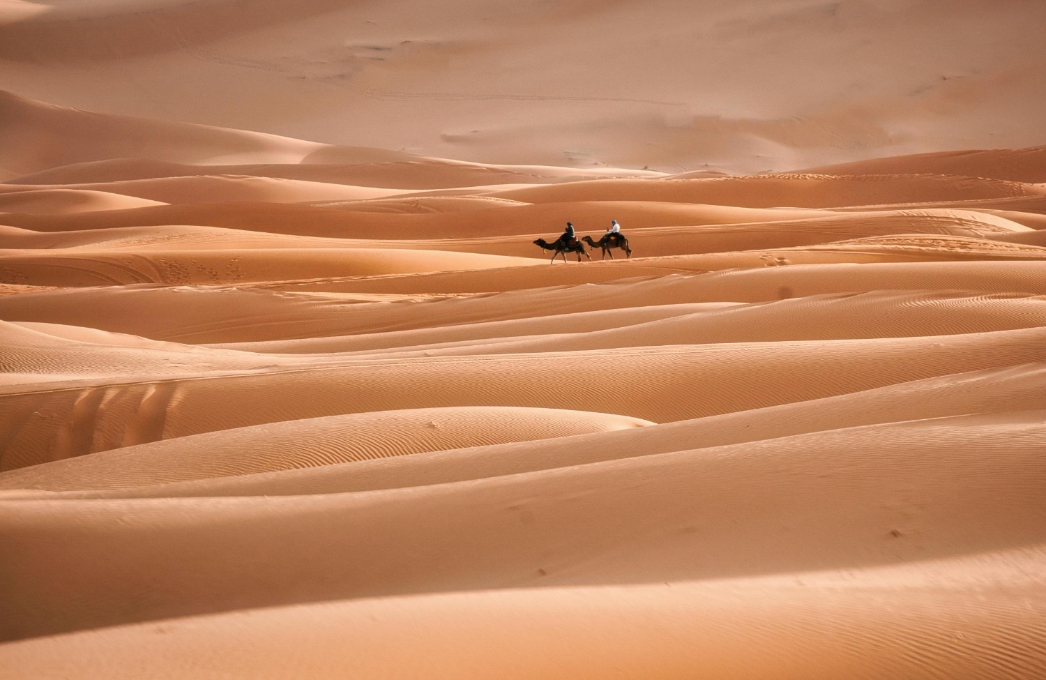 erg Chebbi (1)
