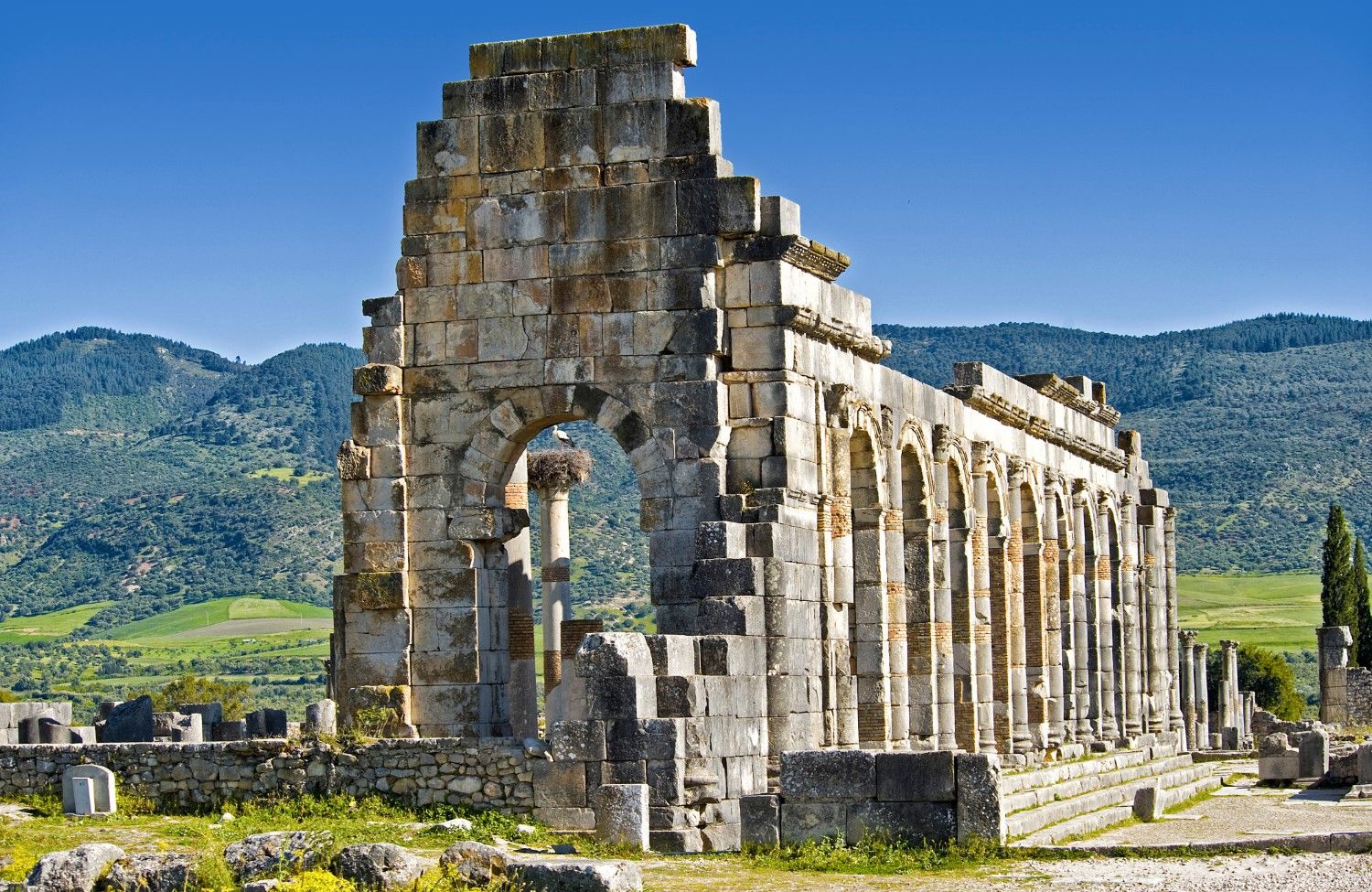 volubilis