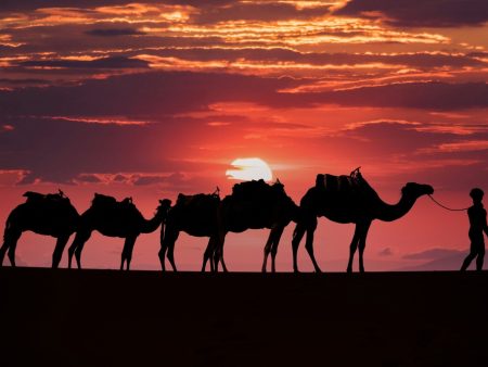 sahara